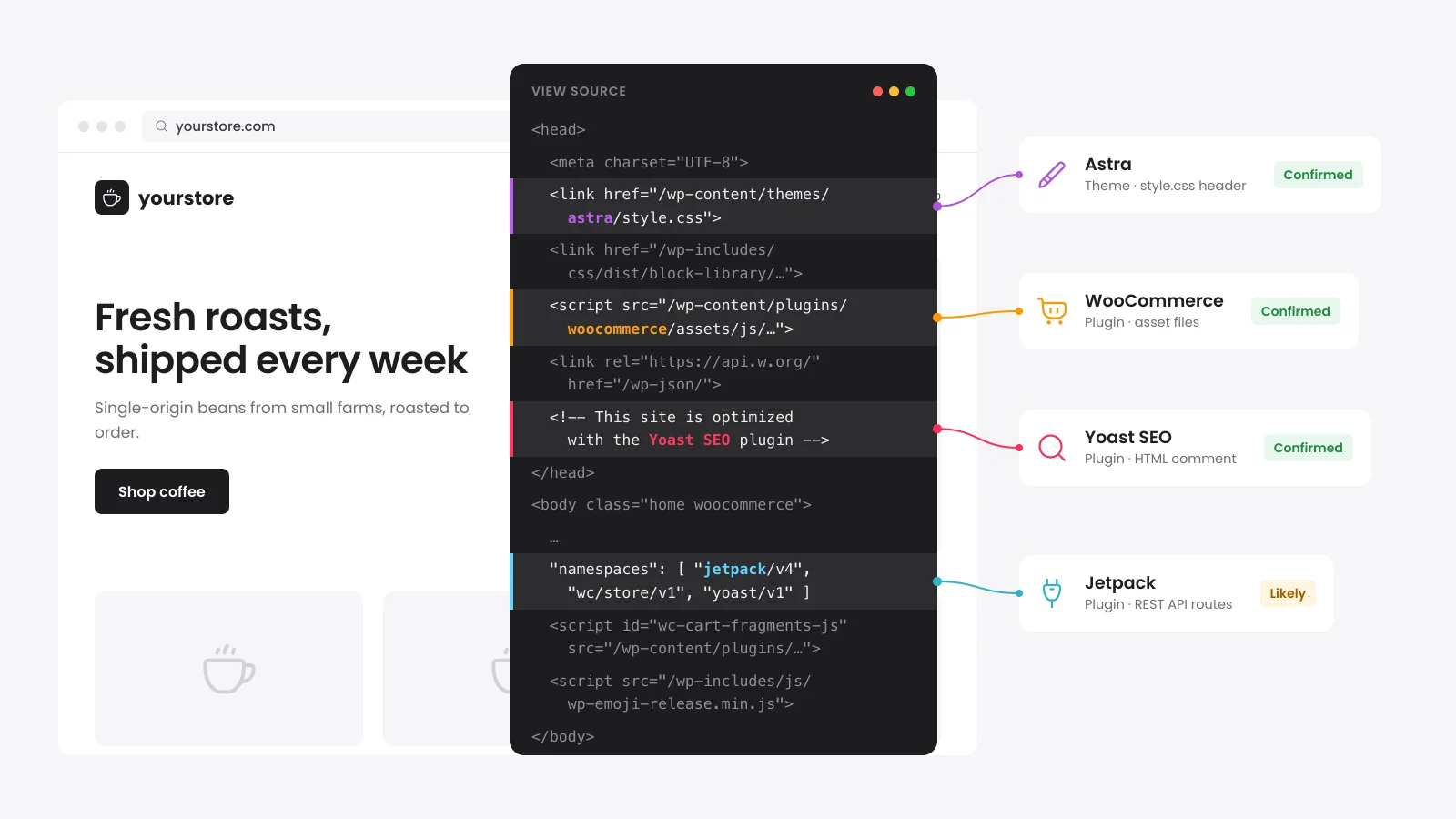 WordPress theme detector result showing the active theme, its parent theme and a list of plugins with update status