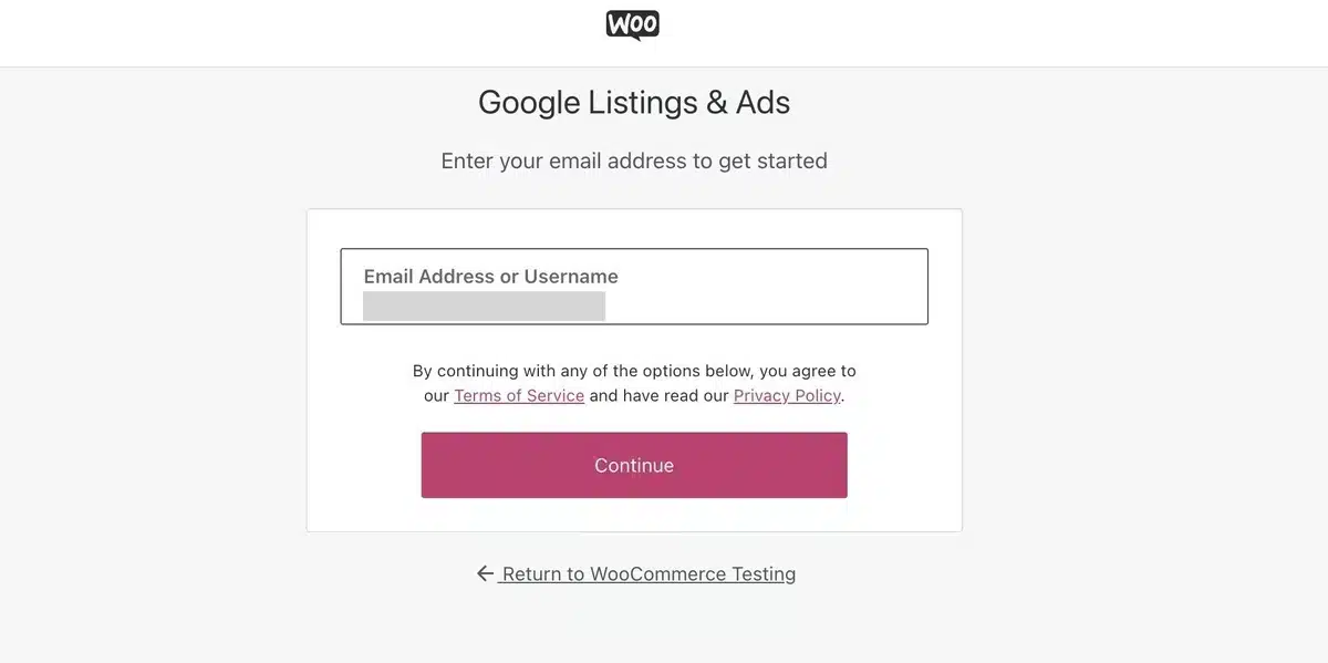 Enter Email ID in Google Listings & Ads