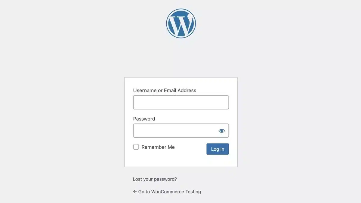 Log in to your WordPress account