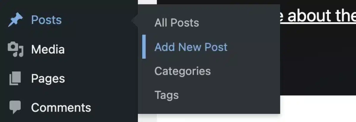 Adding Posts to Your Website