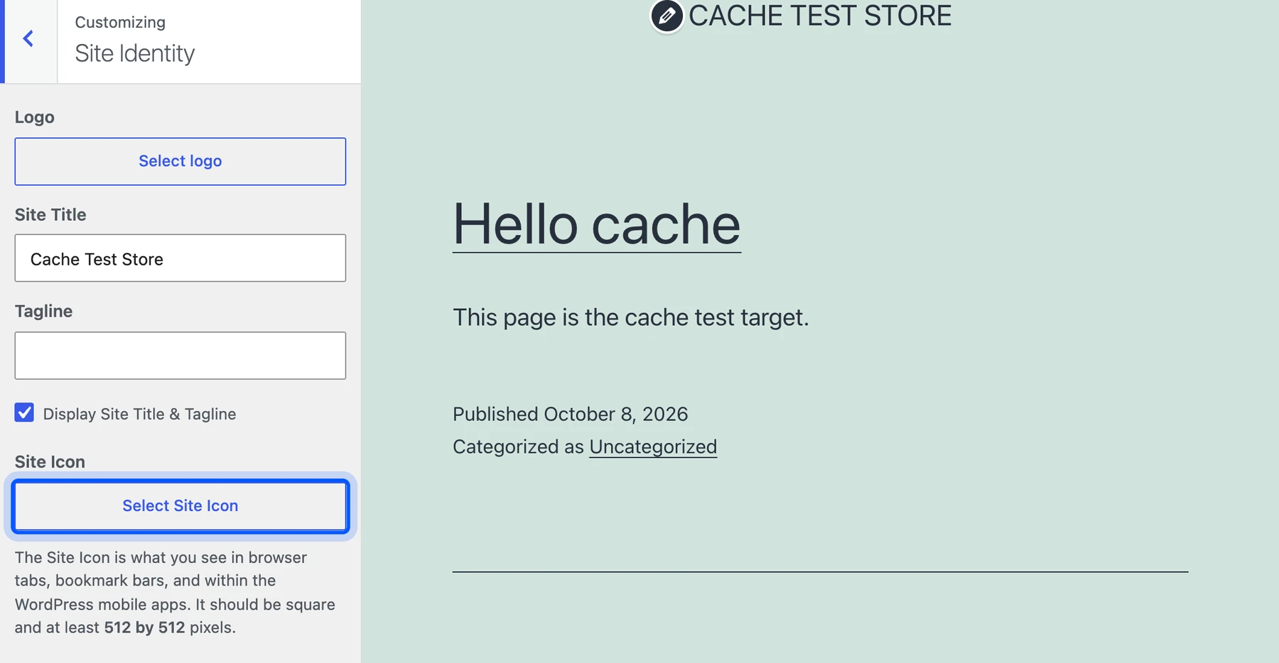 Customizer Site Identity panel with the Select Site Icon button