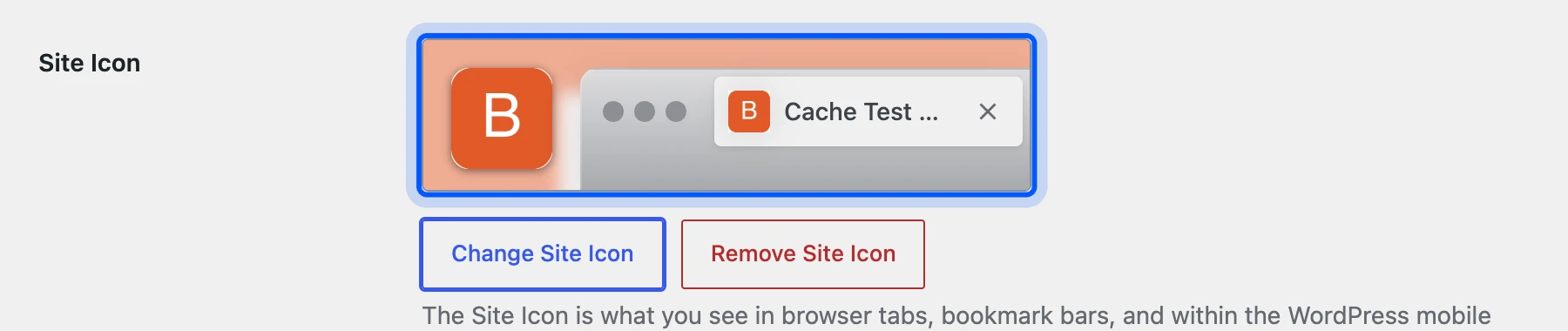 Site icon preview on the WordPress General Settings screen