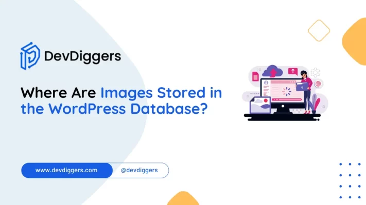 Where Are Images Stored in the WordPress Database?