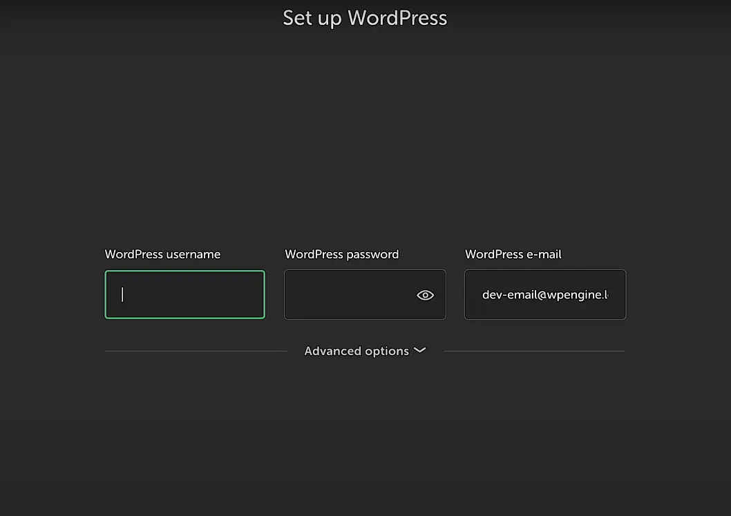 Set up WordPress