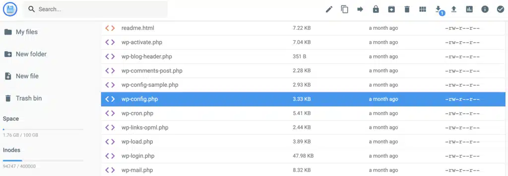 Access your site's wp-config.php file