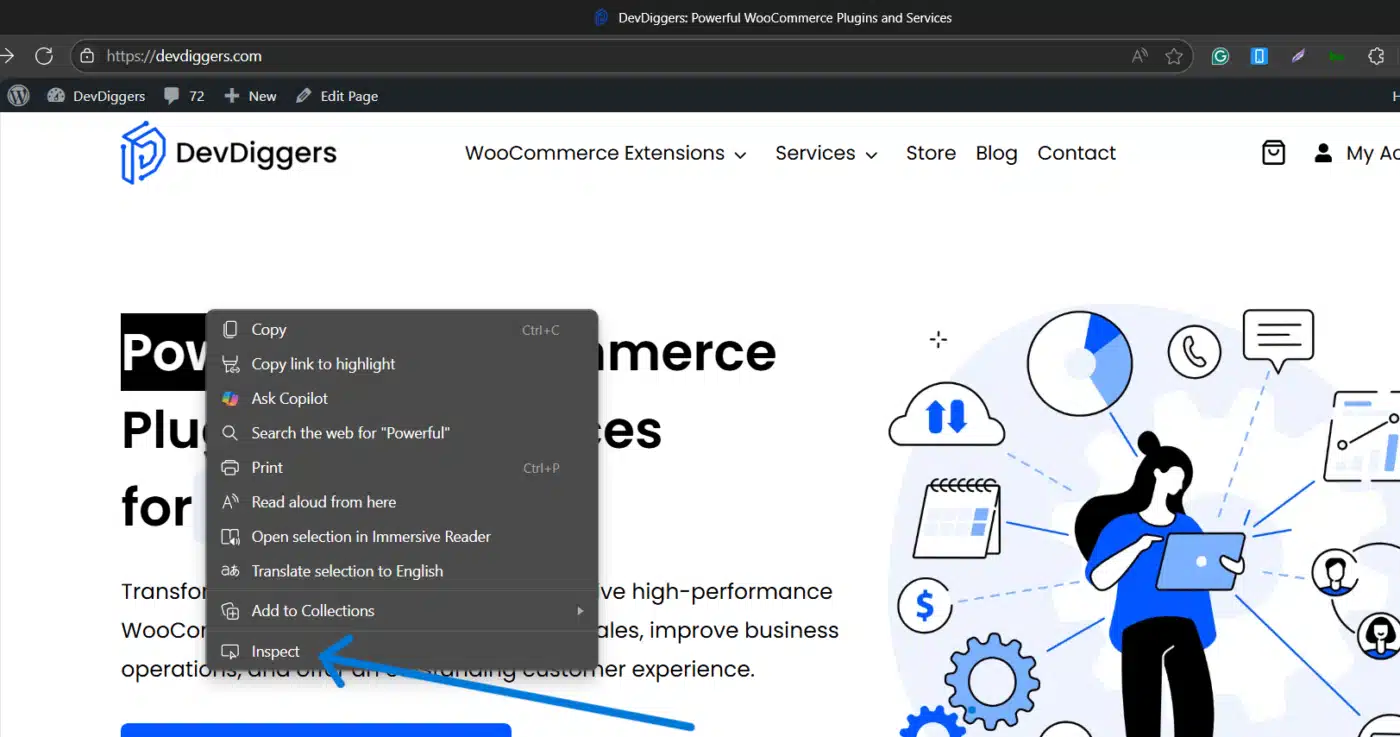 Inspect The Page Source Code
