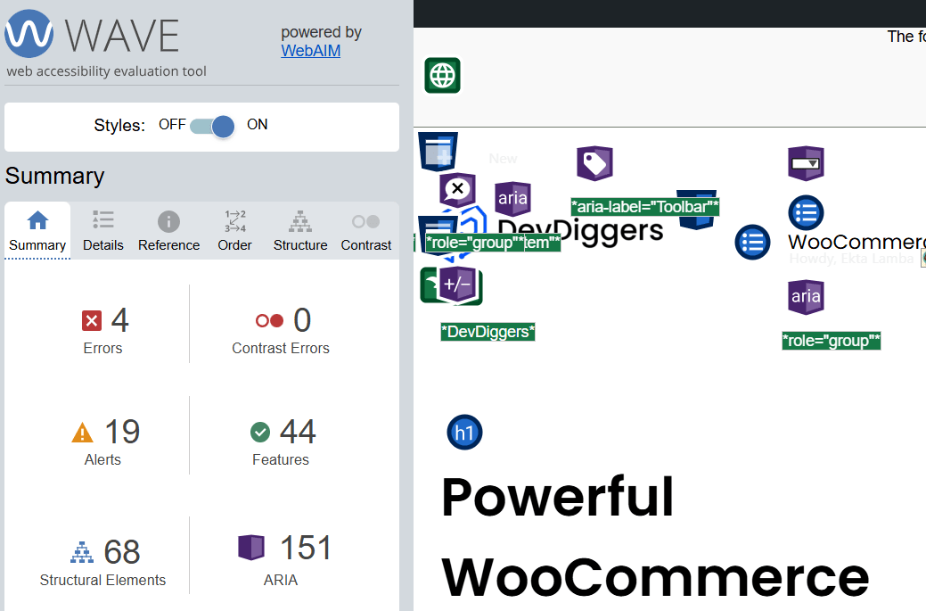 Use Automation Accessibility Testing Tools for a Quick Scan