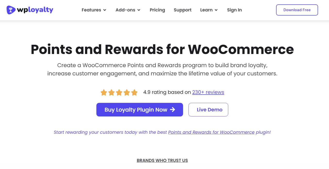 WPLoyalty WooCommerce loyalty program