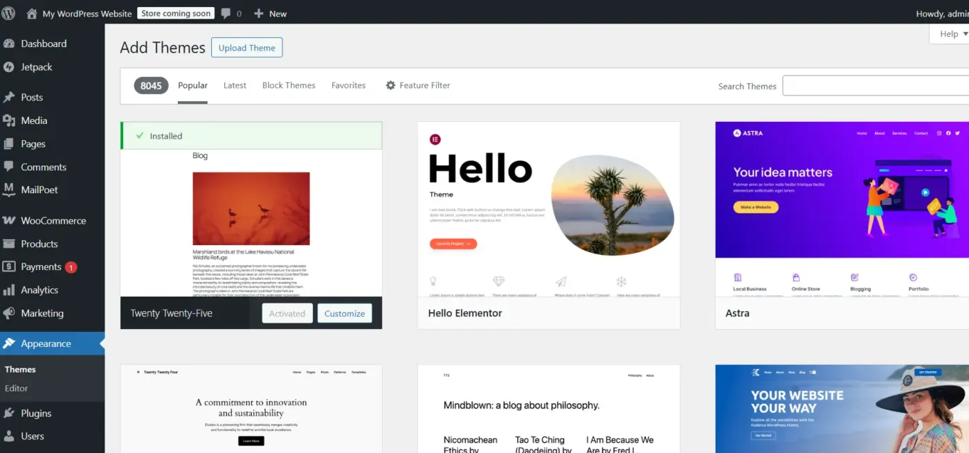 Choosing a WooCommerce Theme