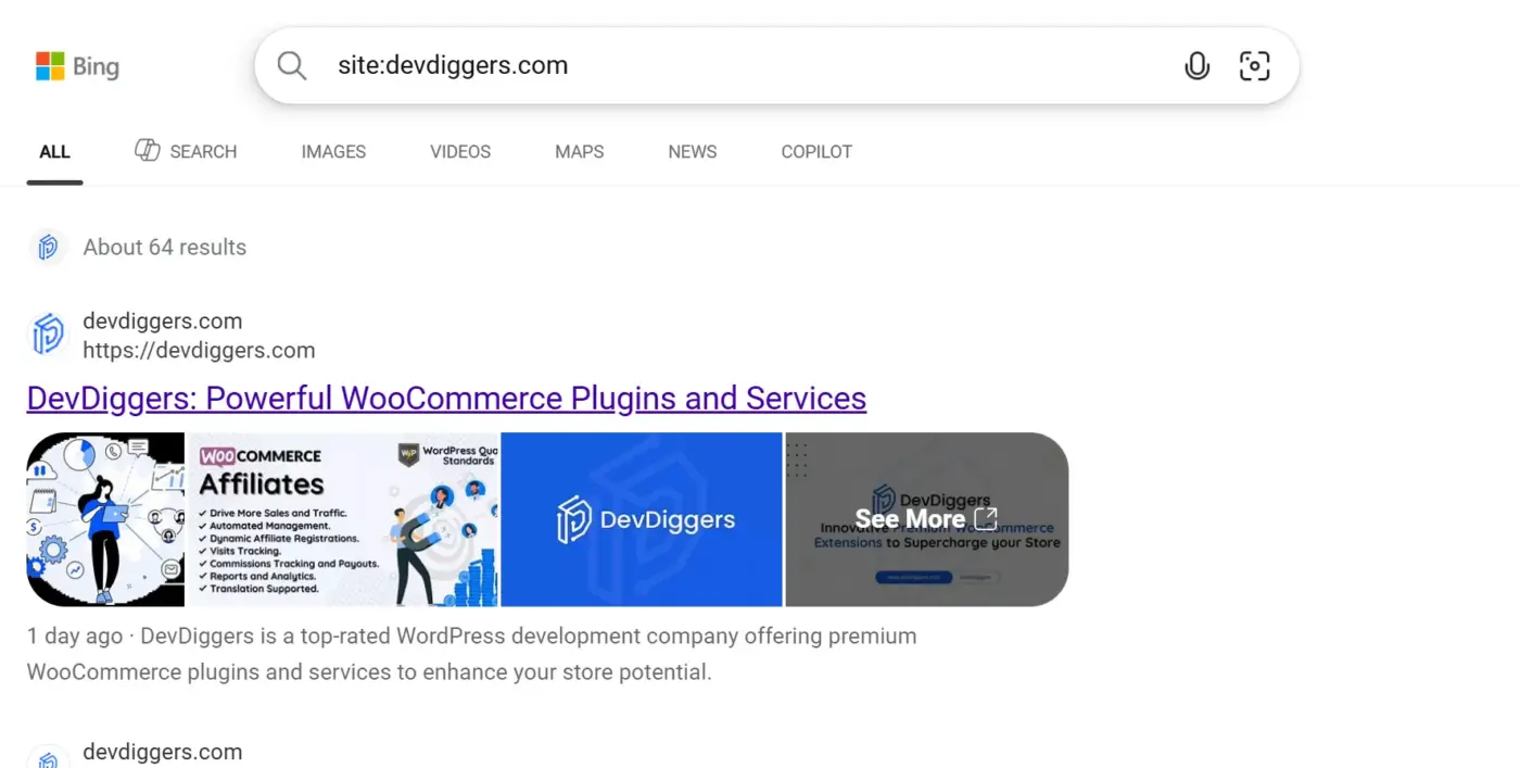 Check If Google Has Already Found Your Site