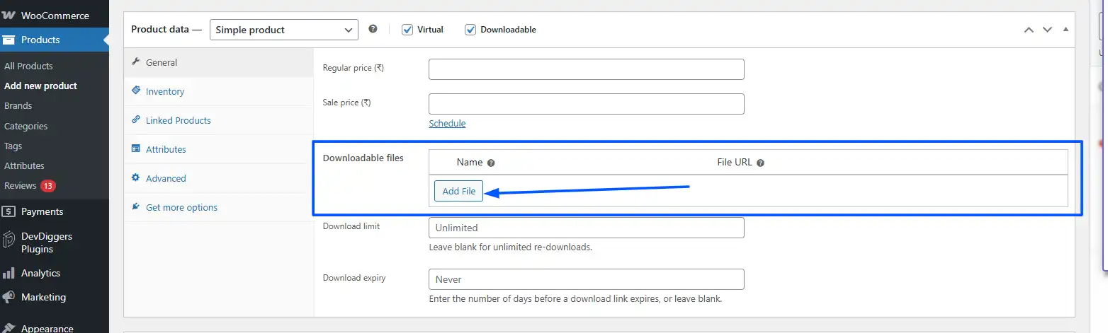 Under the Downloadable Files section, click on Add File.