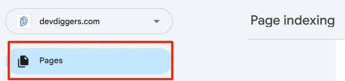 In the left sidebar, go to Indexing and click Pages.