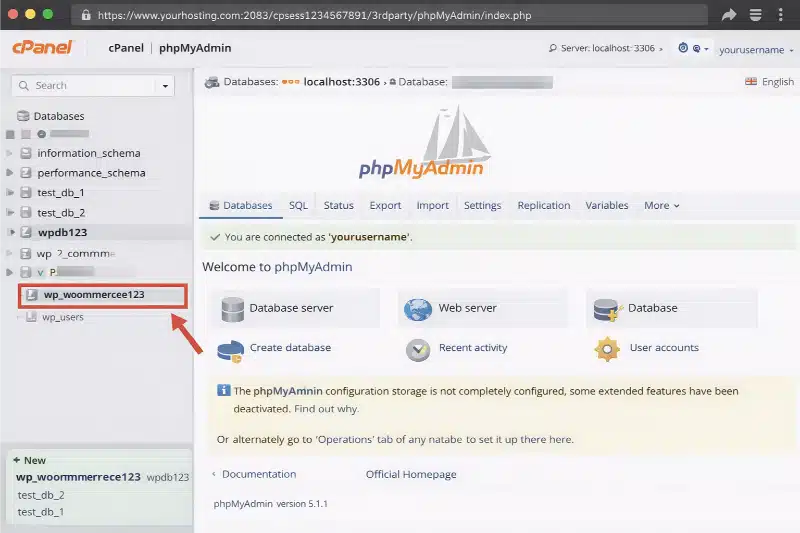 Select your WordPress database from the left panel.