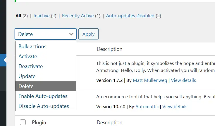 After deactivating, the plugin row will now show a Delete link