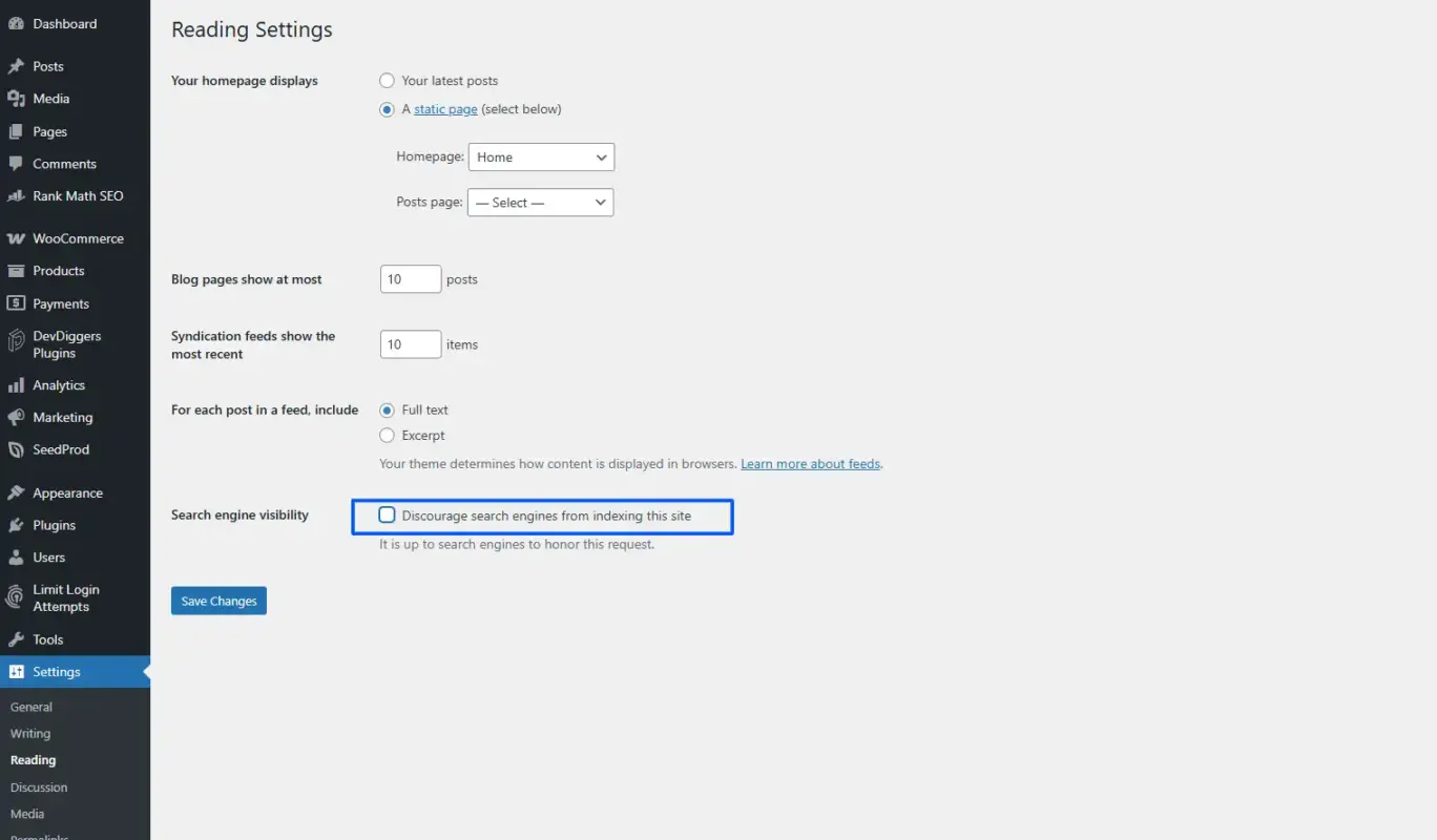 Uncheck Discourage search engines from indexing this site