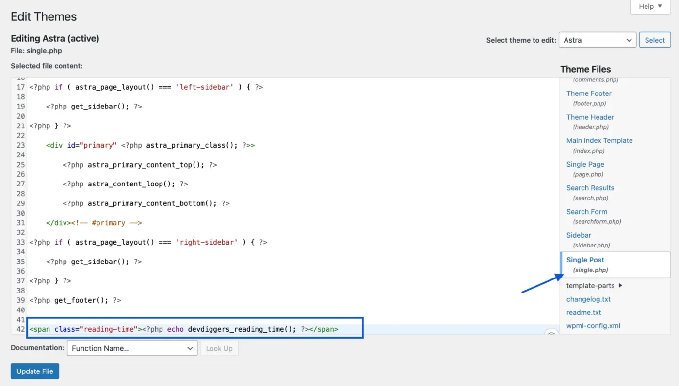 Add Display Call to Your Post Template by single.php