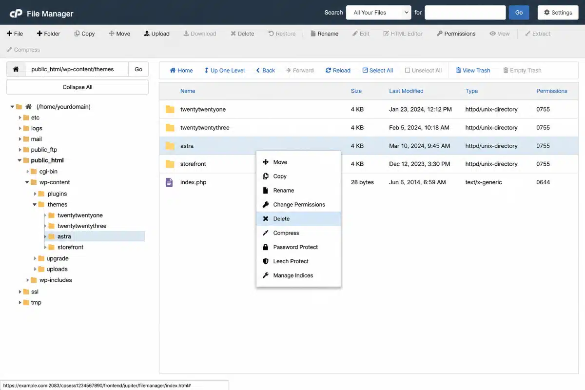 Delete a Theme in WordPress via CPanel