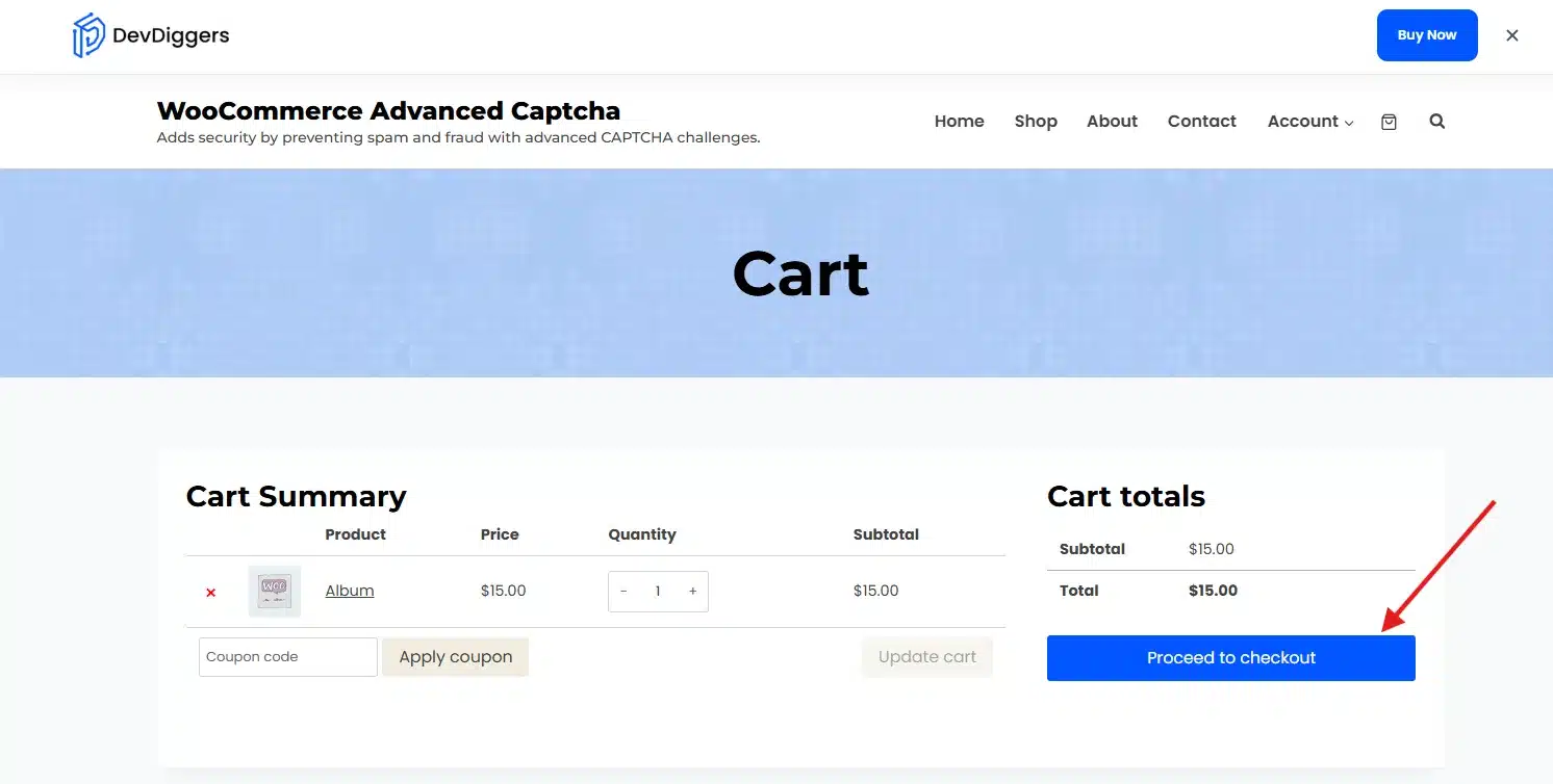 Then, go to checkout.