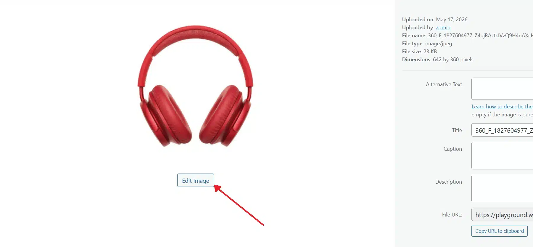 Click the Edit Image button below the image preview.