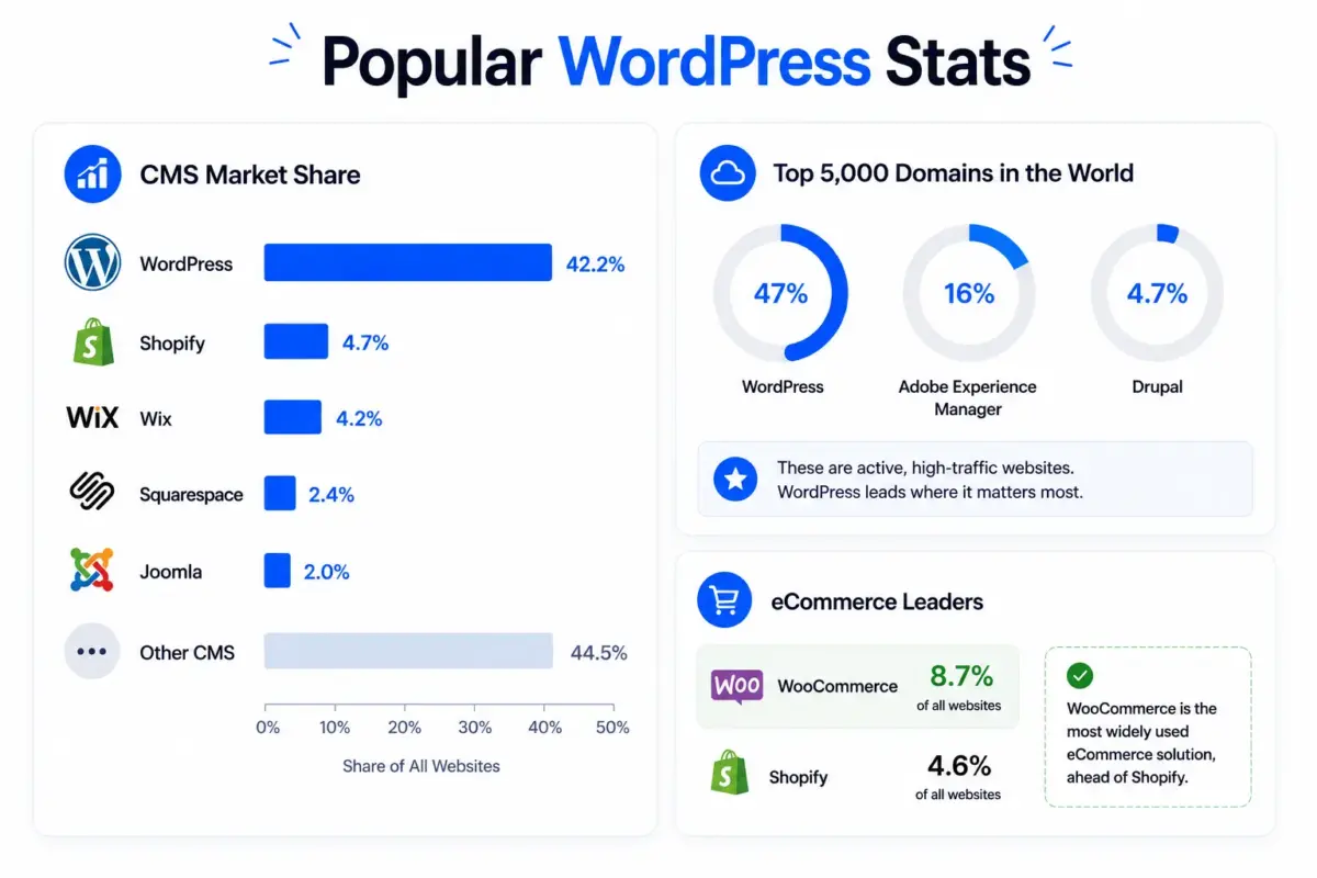 Popular WordPress Stats: The Real Story Behind the Numbers