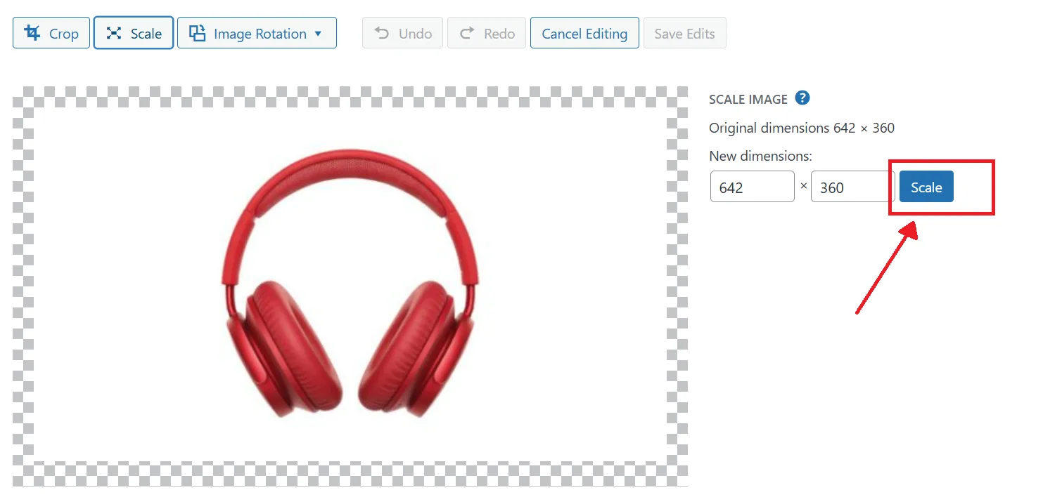 Click Scale.