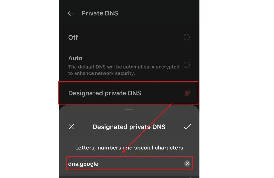 Then select Private DNS → Designated DNS, and enter dns.google as the hostname.