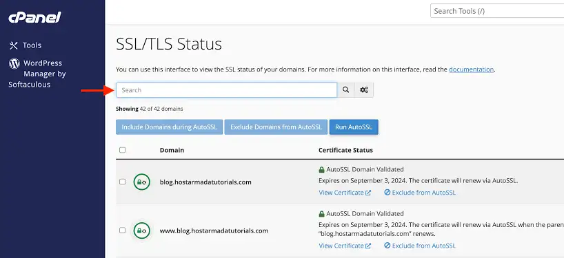 Confirm that a certificate is listed as active for your domain. Most hosts issue a free certificate through Let's Encrypt, so if nothing appears, request one directly from this section.