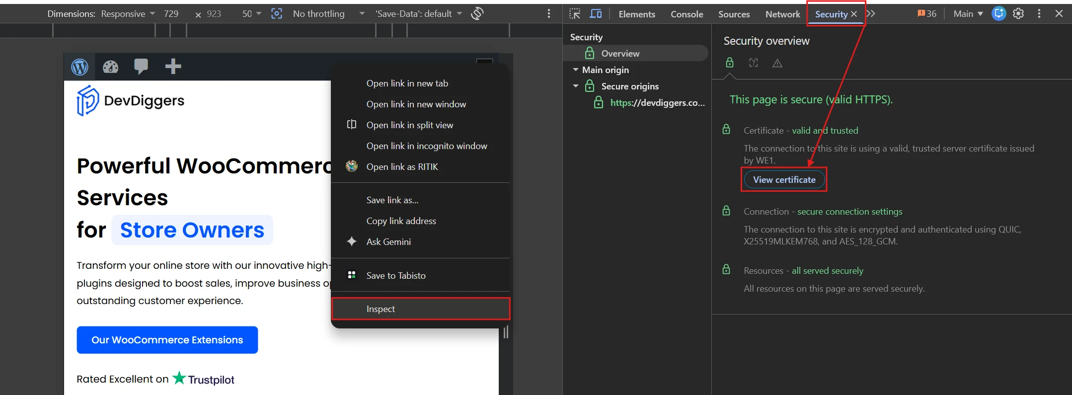 Open your browser's developer tools, click the Security tab, and confirm the certificate details match your domain exactly.