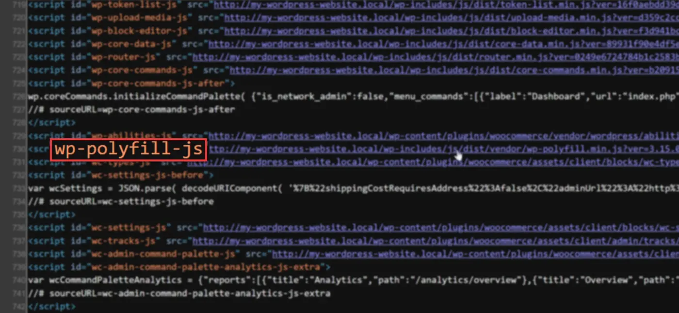 What Is a Polyfill in WordPress?