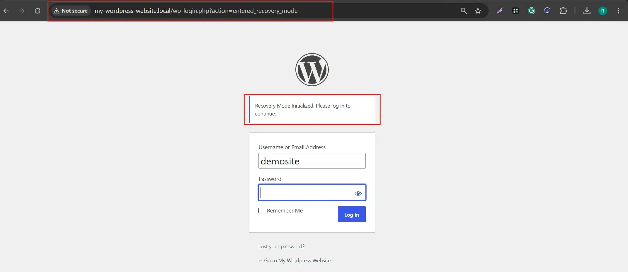 If no email arrived, use the manual Recovery Mode URL: yourdomain.com/wp-login.php?action=entered_recovery_mode.