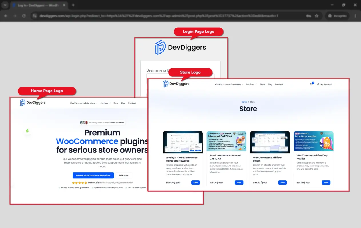 Why Your WordPress Logo Matters