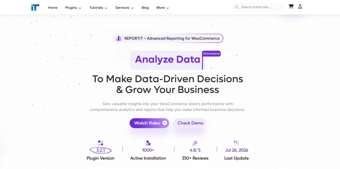 REPORTiT: Customer Segmentation Reports