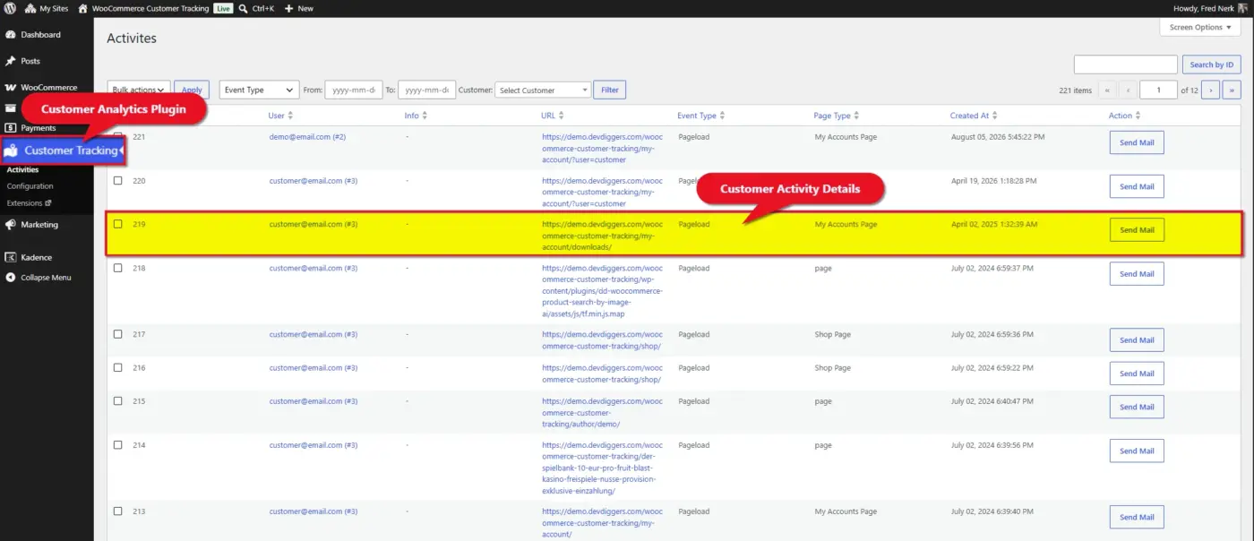 What is a Customer Analytics Plugin?