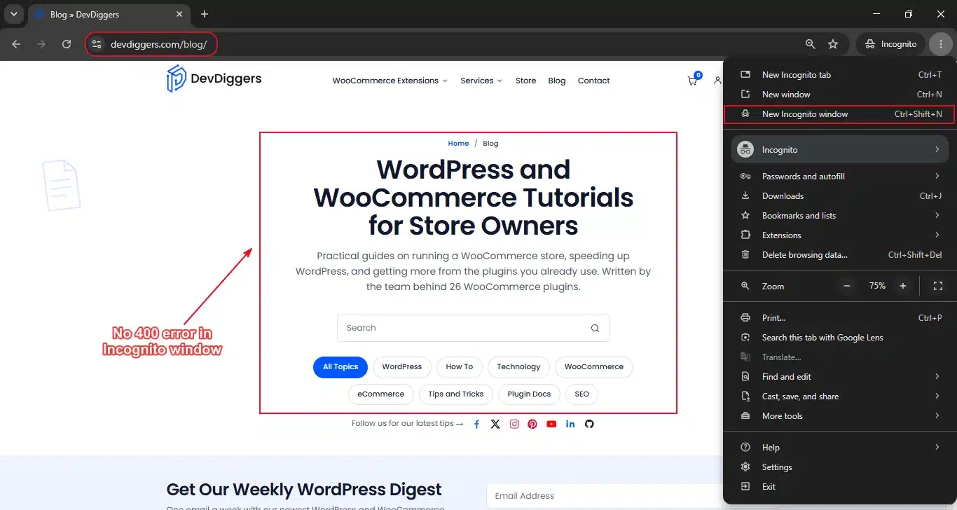 Test in a Private Window or a Different Browser