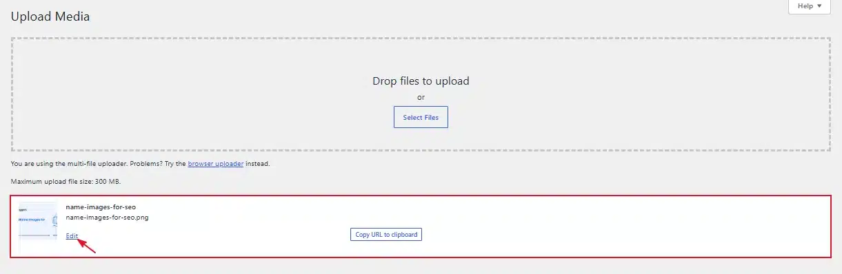 Click Edit under the thumbnail to open Attachment Details.