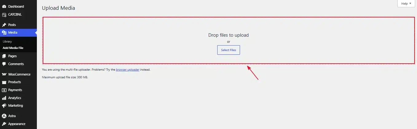 Drag and drop the renamed file into the uploader.