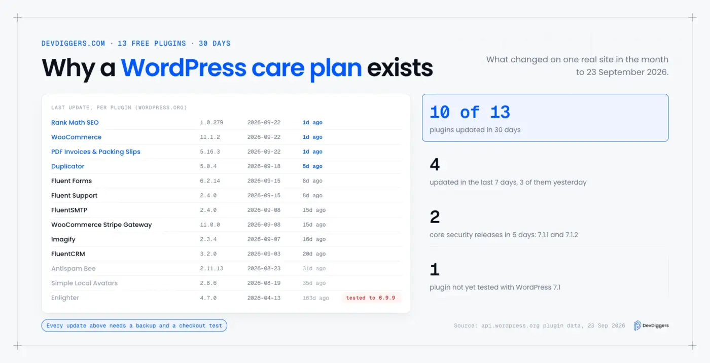 why a WordPress care plan exists: plugin updates in 30 days
