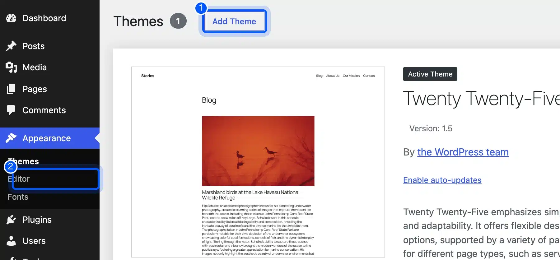 WordPress Themes screen with the Add Theme button and the Editor menu