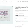 All or nothing campaign page for pressing 300 vinyl copies marked Goal not met, with its progress and reward tiers