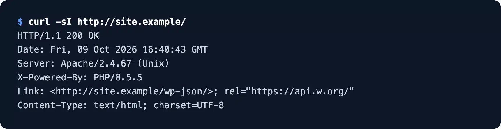 Response headers from curl exposing server and PHP versions