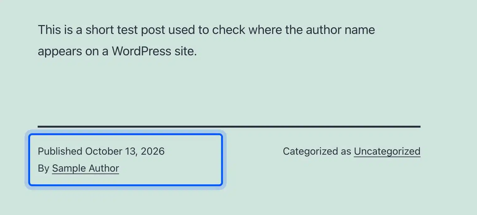 Byline in the footer of a Twenty Twenty-One post