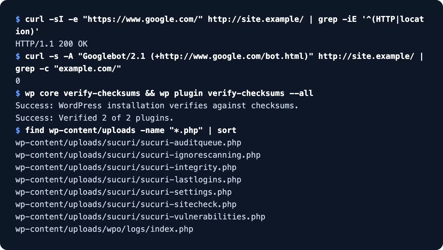 Clean recheck after a WordPress hack recovery