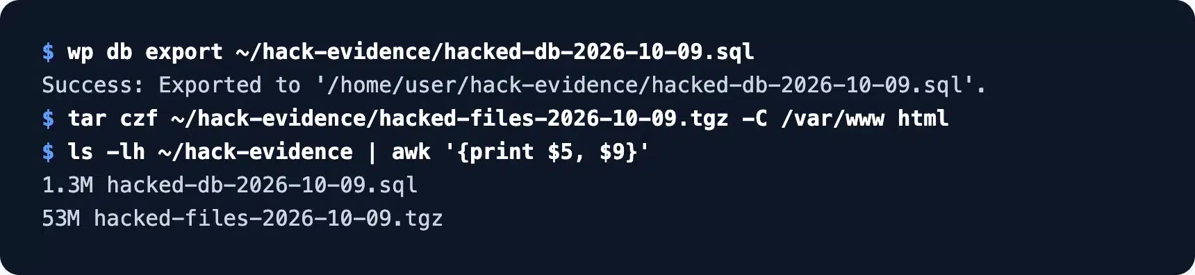 WP-CLI database export and file archive saved before cleanup