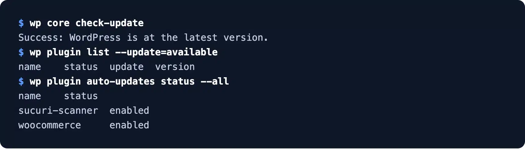 WP-CLI showing WordPress up to date and plugin auto-updates enabled