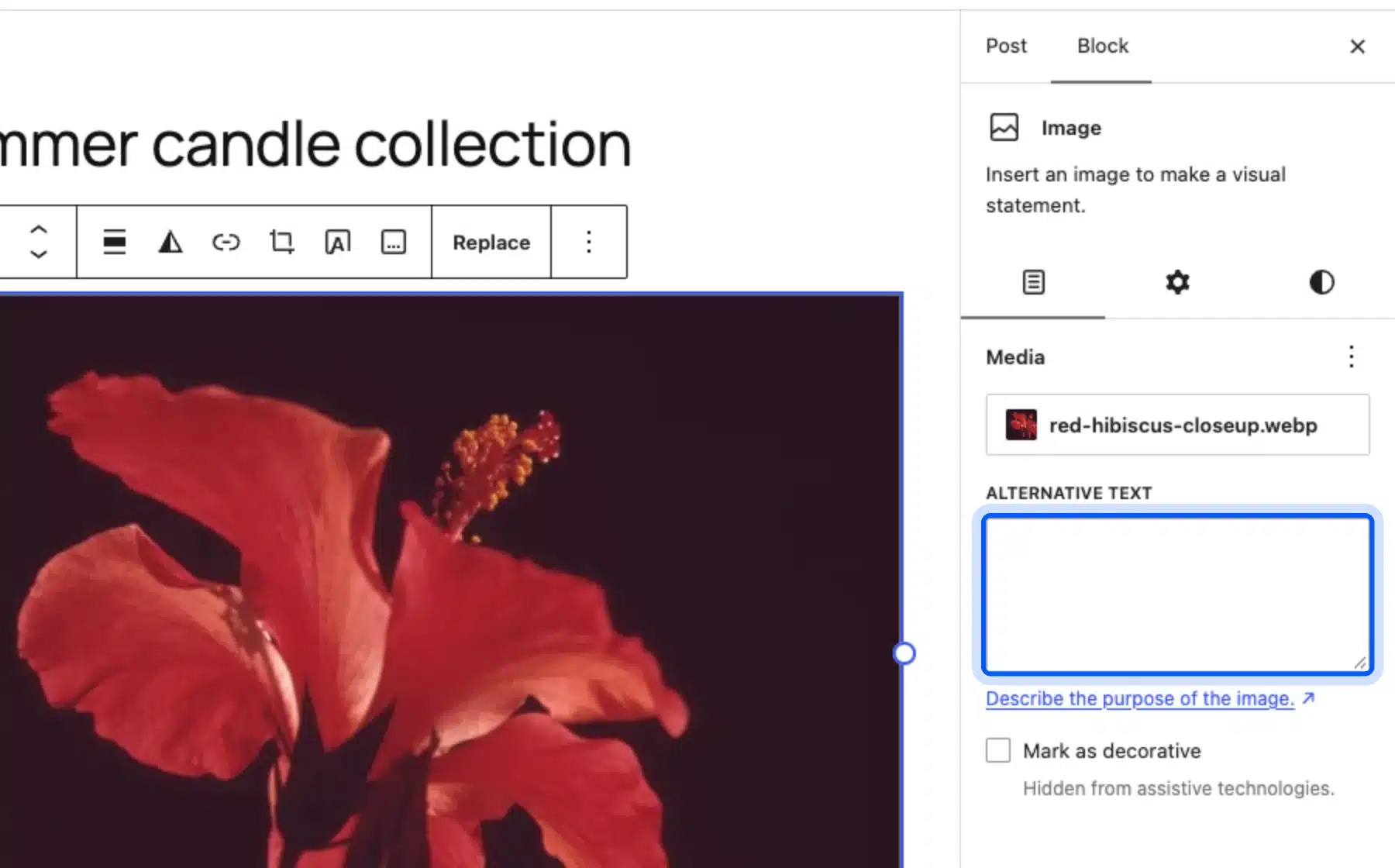 WordPress image block sidebar with the empty Alternative text field highlighted