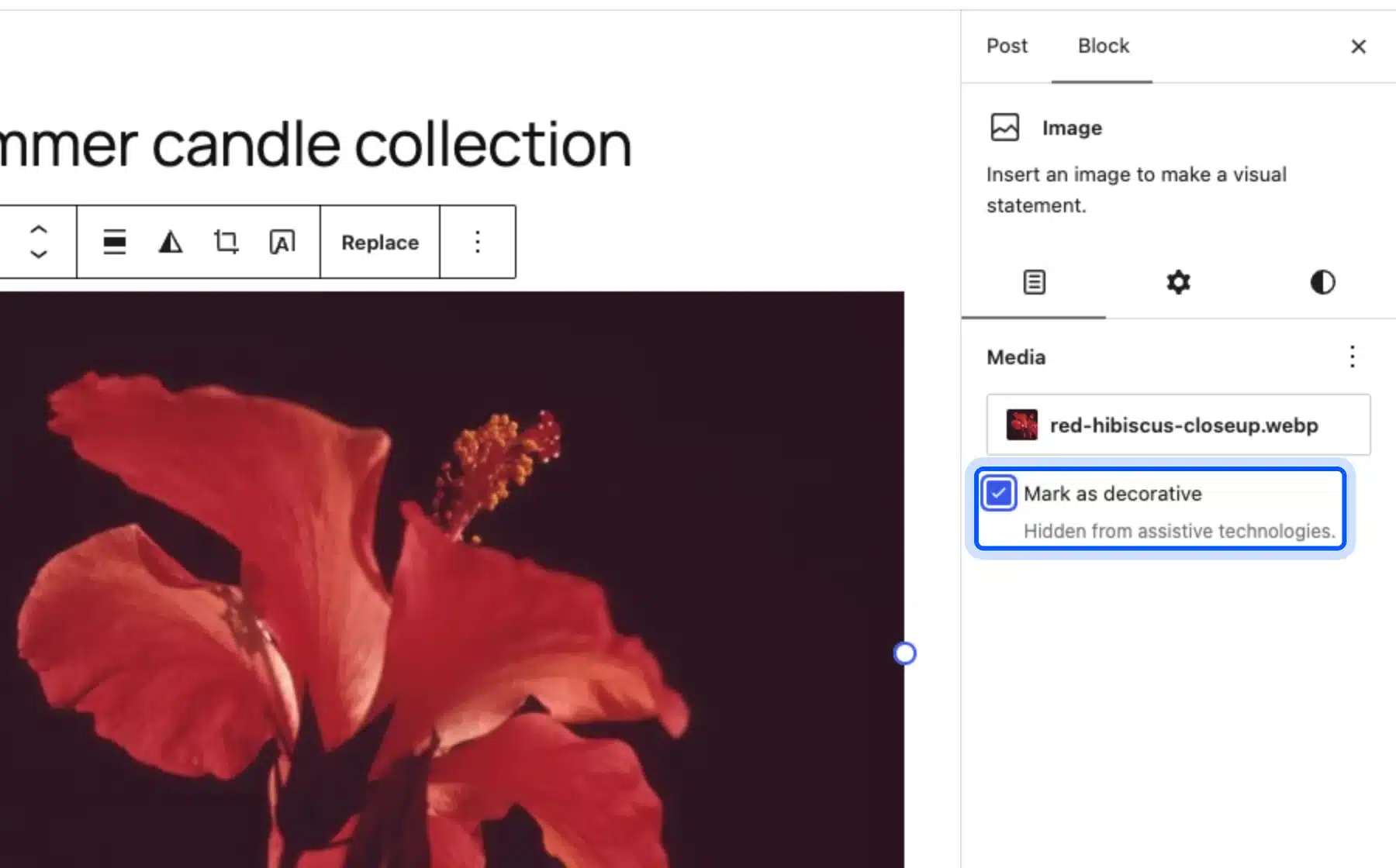 WordPress Mark as decorative checkbox ticked with the note Hidden from assistive technologies
