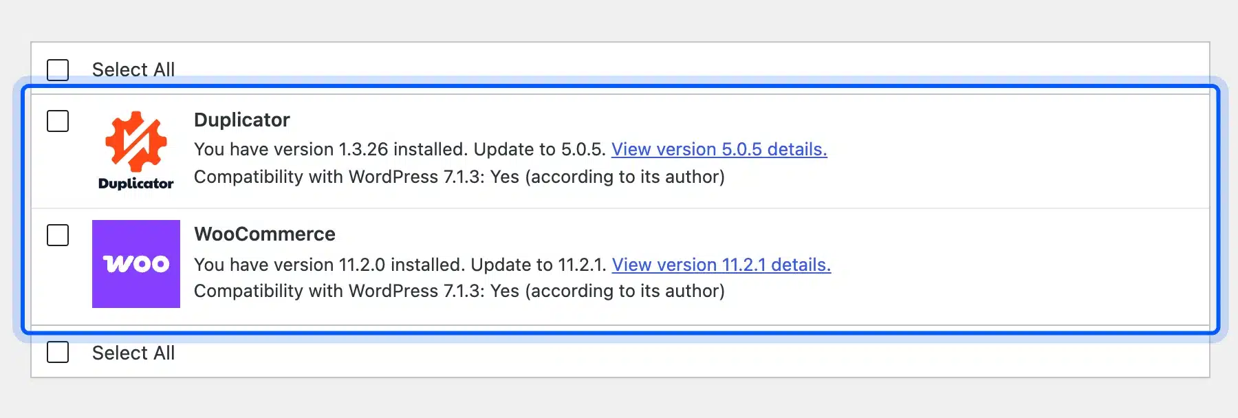 WordPress Updates screen listing Duplicator and WooCommerce updates